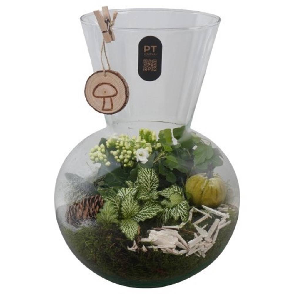 Kal.Arr PTHG8250 Herbst T21 H033