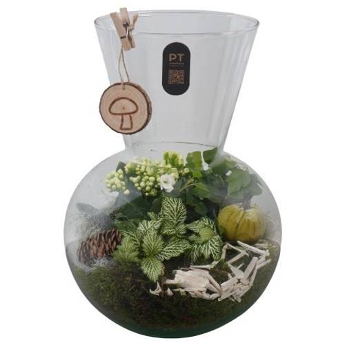 Kal.Arr PTHG8250 Herbst T21 H033