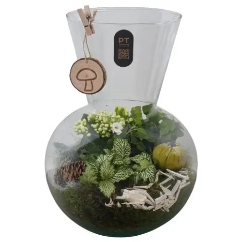 Kal.Arr PTHG8250 Herbst T21 H033