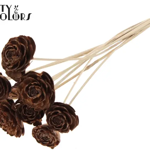 Trocken Cedar Rose auf Stab natur L50cm