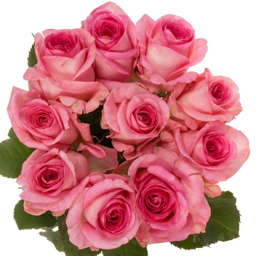 Rose fuchsia Satisfyer 70cm
