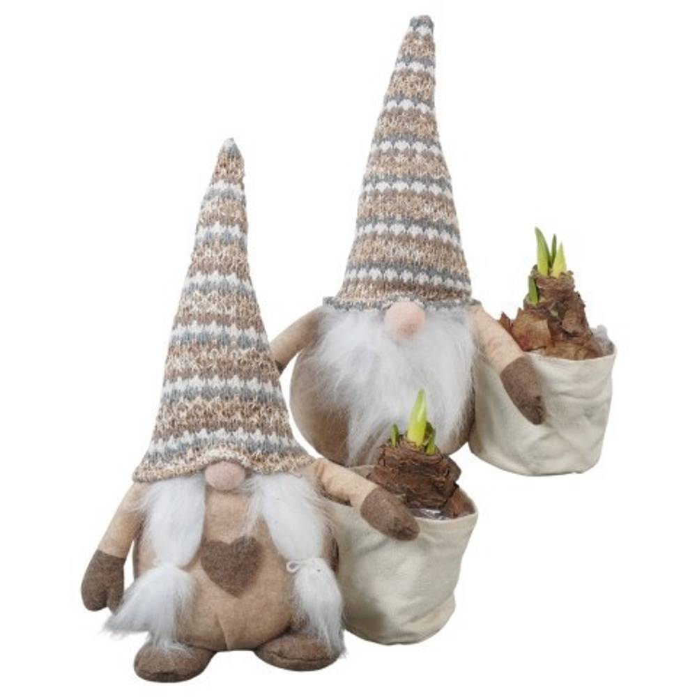 Amaryl.Arr PTACH5912 rote Bl. T26 H036