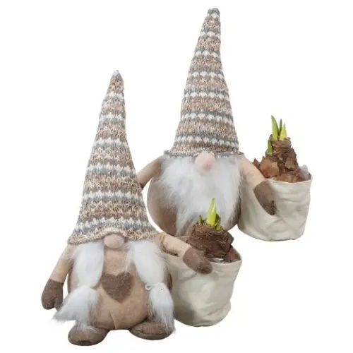 Amaryl.Arr PTACH5912 rote Bl. T26 H036