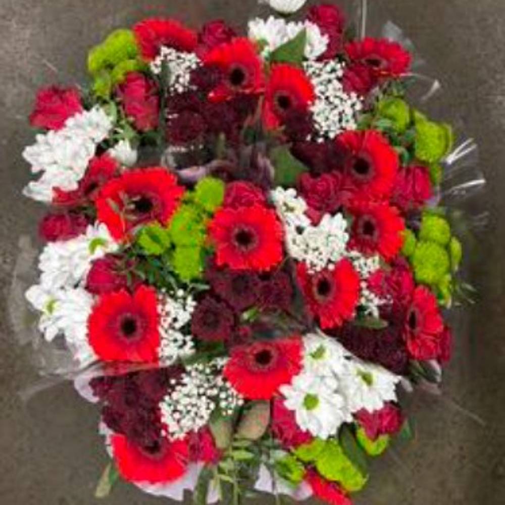 Strauß Raven rot 50cm 12 Stiele