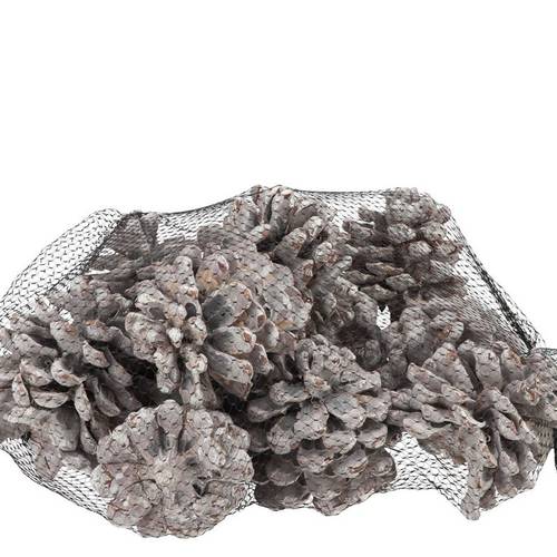 Trocken Pinea Stonewashed x12