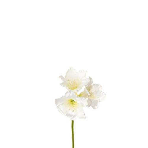 Seiden Amaryllis weiss L65cm