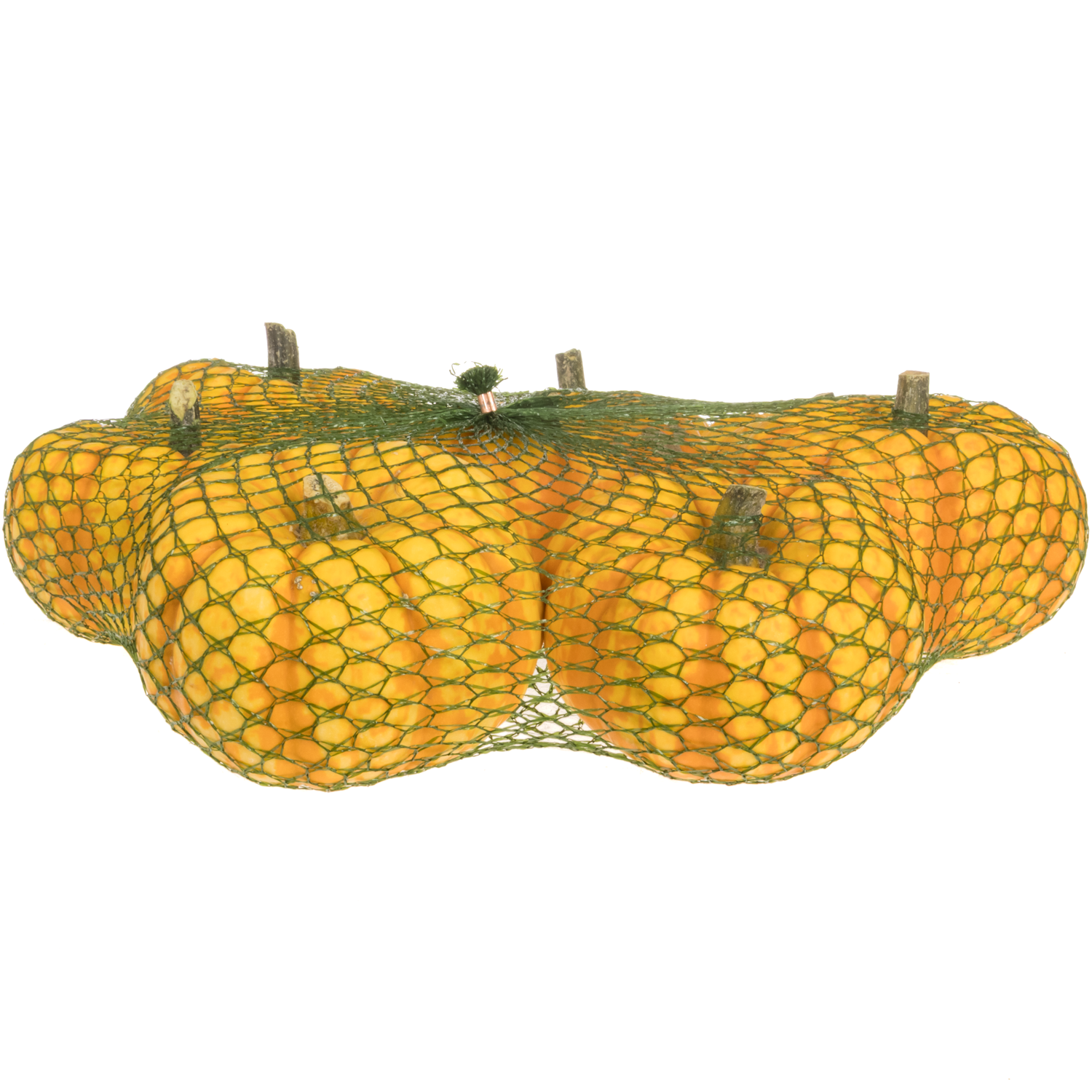 Zierkürbis orange Spark 8cm Im Netz X8