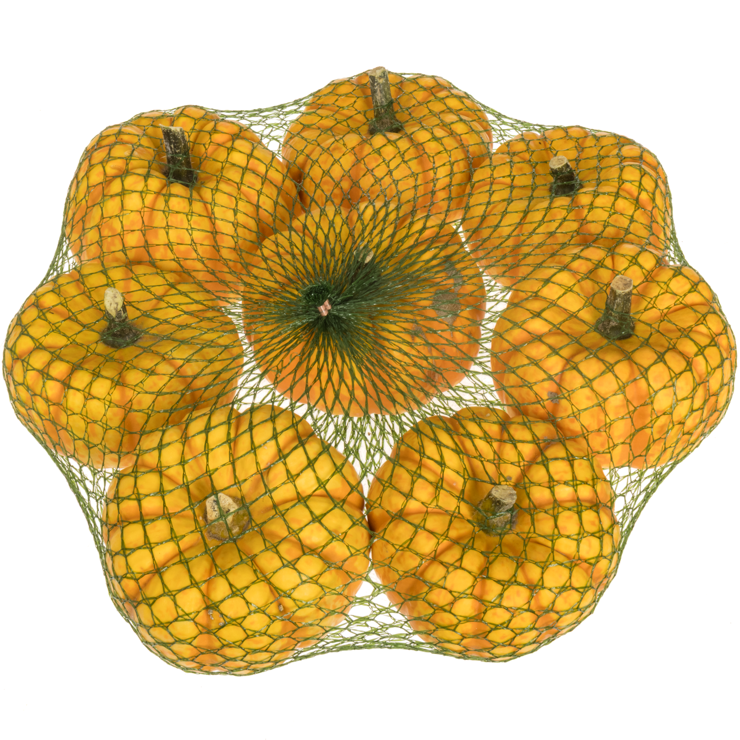 Zierkürbis orange Spark 8cm Im Netz X8