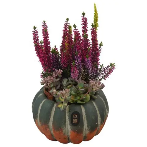 Garten.Arr PTHO7677 Herbst T17 H030
