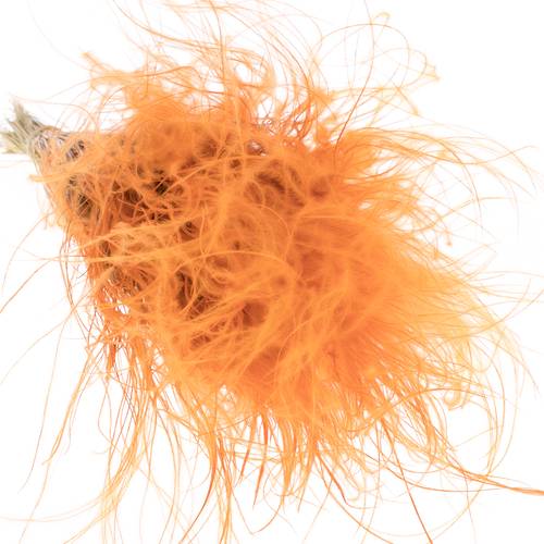 Stypha Pennata orange 60cm