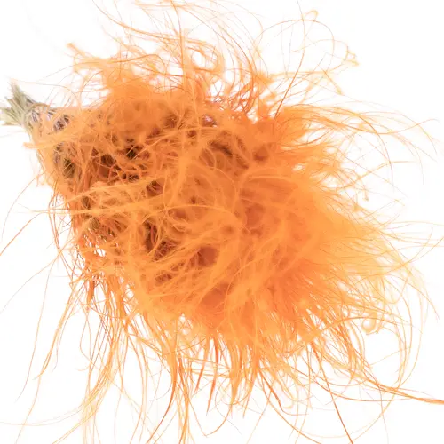 Stypha Pennata orange 60cm