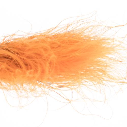 Stypha Pennata orange 60cm