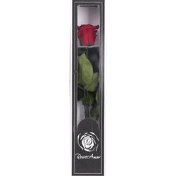 Präparierte Rose dunkel rot 60cm Red-01
