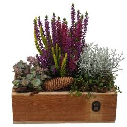 Garten.Arr PTHO7664 Herbst T25 H027