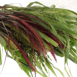 Ziergras mix in Bund 70cm