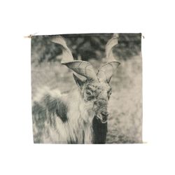 Wandhänger Antilope 48X48cm