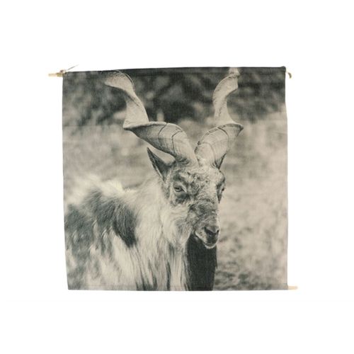 Wandhänger Antilope 48X48cm