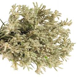 Kangeroo grau Bush Diamond 40cm
