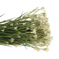 Kangeroo grau Bush Diamond 40cm