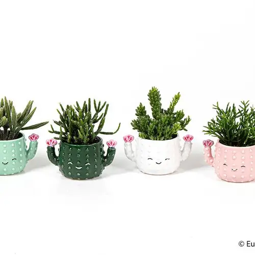 Rhipsalis Keramik mix E3062 T06 H020
