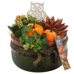 Kal.Arr PTHG3340 Herbst T19 H023