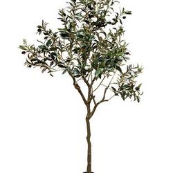 Seiden Oliv grün H165cm