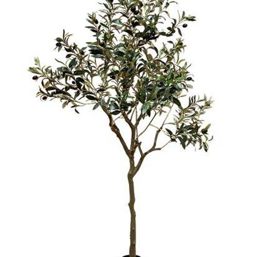 Seiden Oliv grün H165cm