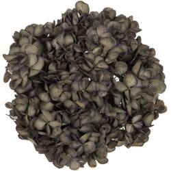 Präparierte Hortensie grau Bla-02