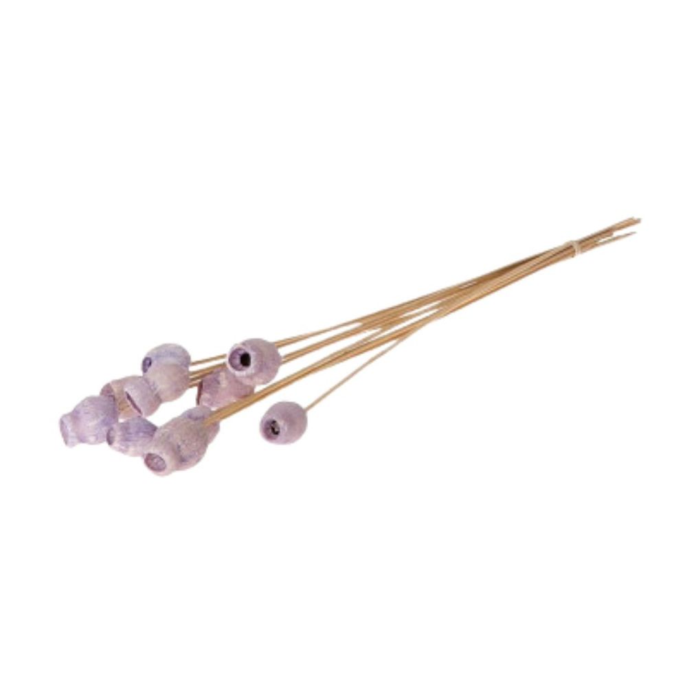 Trocken Bellgums auf Stab lila D03cm H50cm