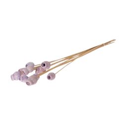 Trocken Bellgums auf Stab lila D03cm H50cm