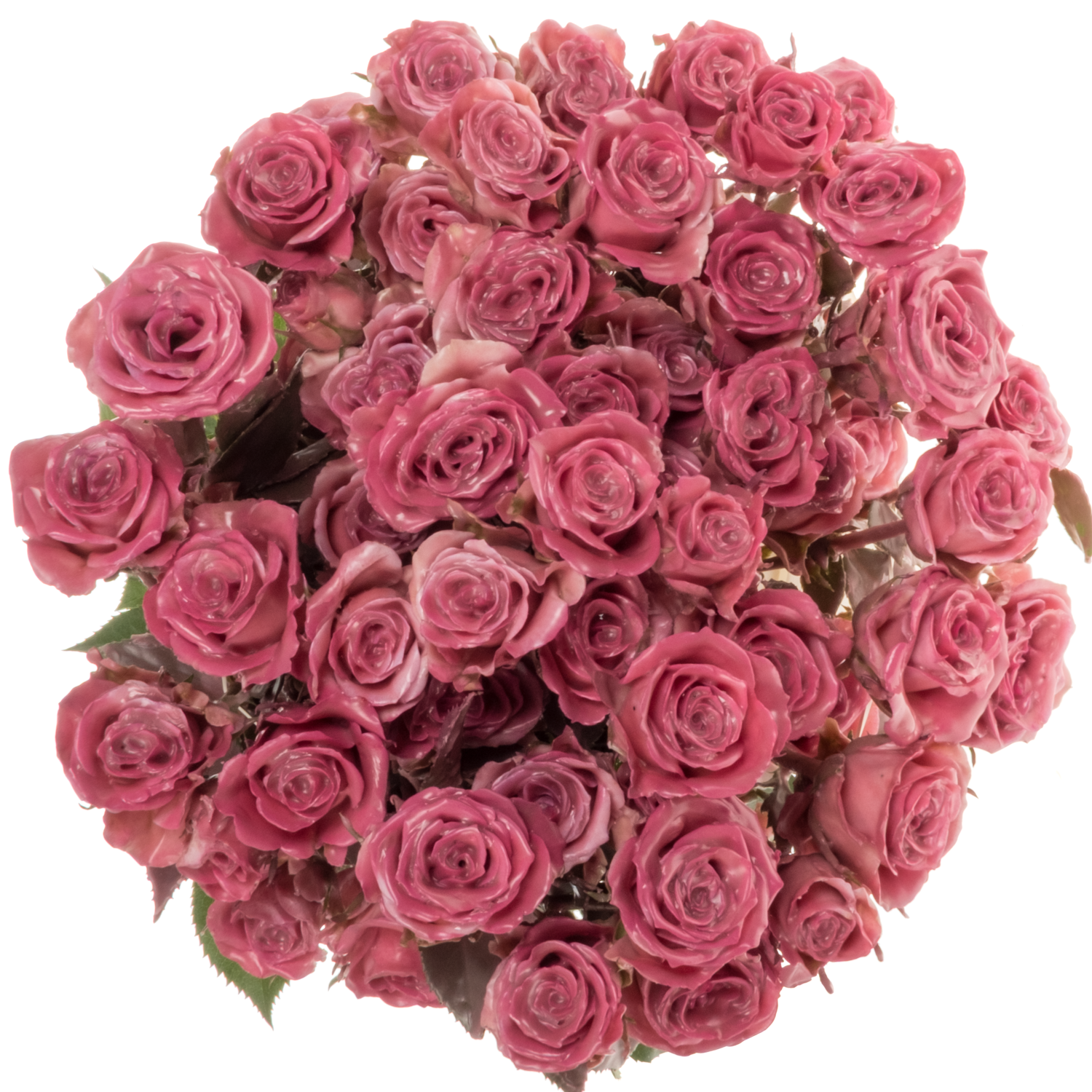Rose verzweigt fuchsia Wachs classic fuchsia 60cm