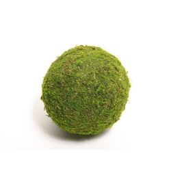 Moos Kugel 20cm