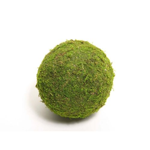 Moos Kugel 20cm