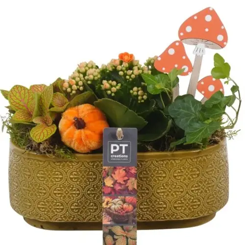 Kal.Arr PTHI5523 Herbst T21 H020