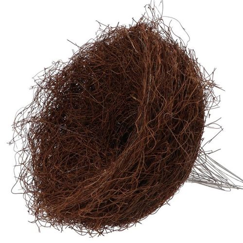 Strausshalter Mühlenbeckia natürlich D30cm