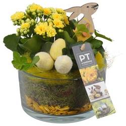 Kal.Arr PTPG9321 Ostern T14 H020