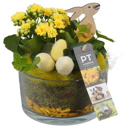 Kal.Arr PTPG9321 Ostern T14 H020