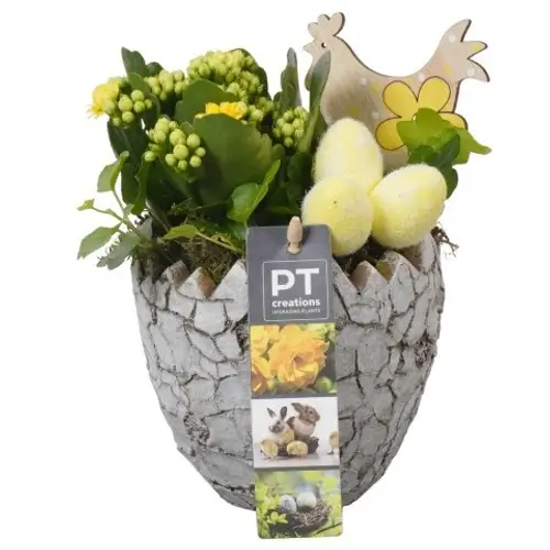 Kal.Arr PTPB6605 Ostern T12 H019