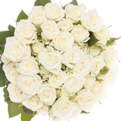 Rose verzweigt weiss Wedding Party 3+Blüte 50cm