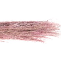 Pampas rosa gefärbt 65cm