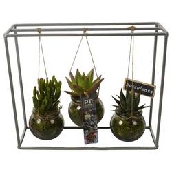 Sukk.Arr PTSU8406 T30 H026