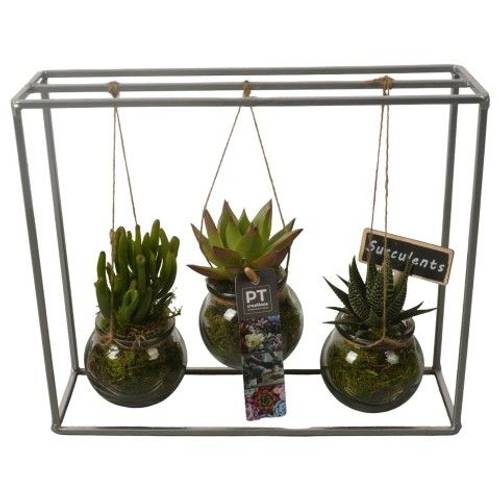 Sukk.Arr PTSU8406 T30 H026