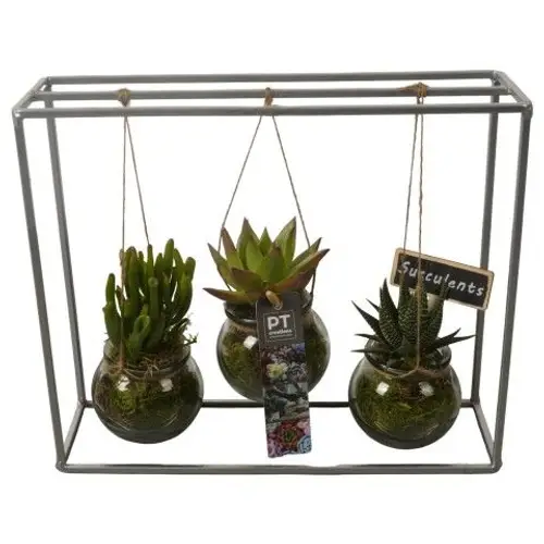 Sukk.Arr PTSU8406 T30 H026