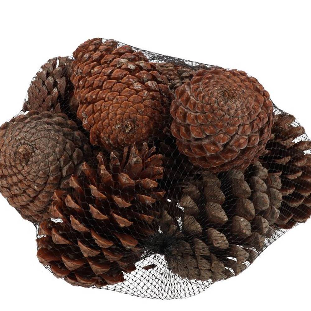 Trocken Maritima natur x12