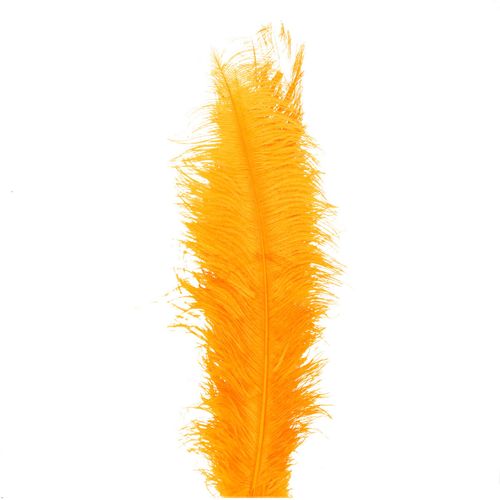 Straussenfedern orange L55cm x5