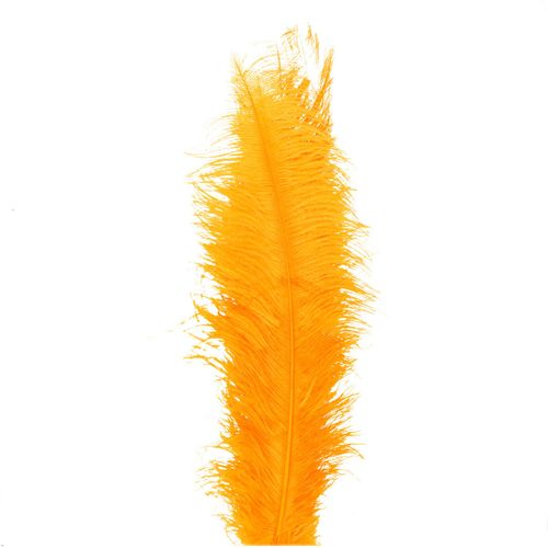 Straussenfedern orange L55cm x5