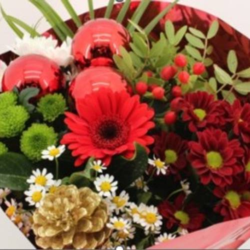 Strauß rot Promo Weihnachten 12 Stiele 60cm