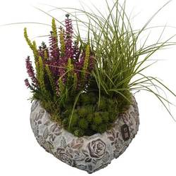 Garten.Arr PTAH3034 Allerheiligen T22 H030