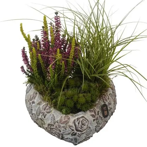 Garten.Arr PTAH3034 Allerheiligen T22 H030