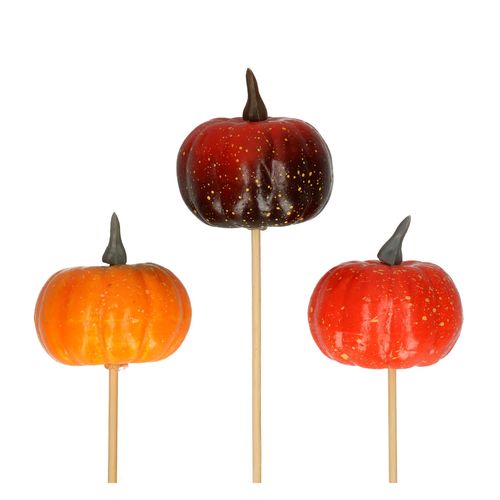 Herbst Kürbis mix auf Stab D06cm L50cm x3